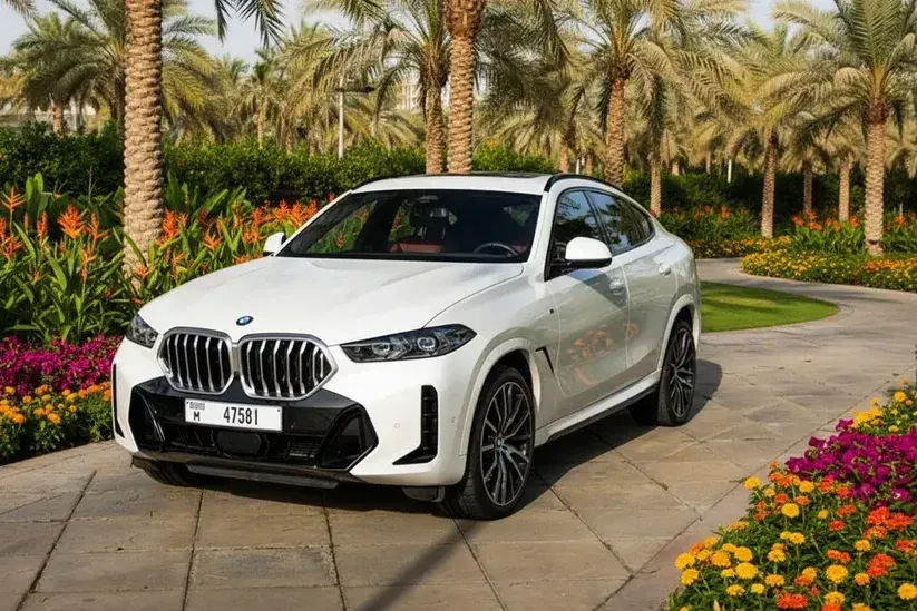 BMW X6 2026 Or Simmilar